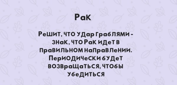 Чемпион по грабле. Как знаки зодиака наступают на одни и те же грабли