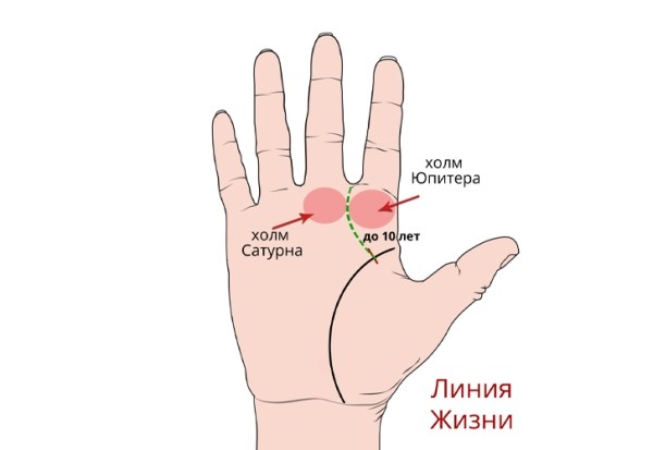 Хиромантия холма Юпитера: крест, звезда, треугольник, квадрат, решетка и другие знаки